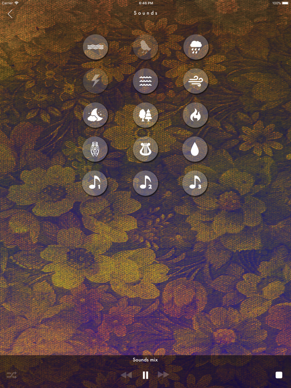 Screenshot #6 pour Muze sound-picture