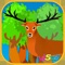 Your child will venture into W5GO's virtual forests, discovering what creates a forest, who lives in a forest, the sounds of a forest and the basics of photosynthesis