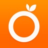 Icon OrangeBrowser-Web browser