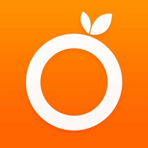 OrangeBrowser-Web browser Icon