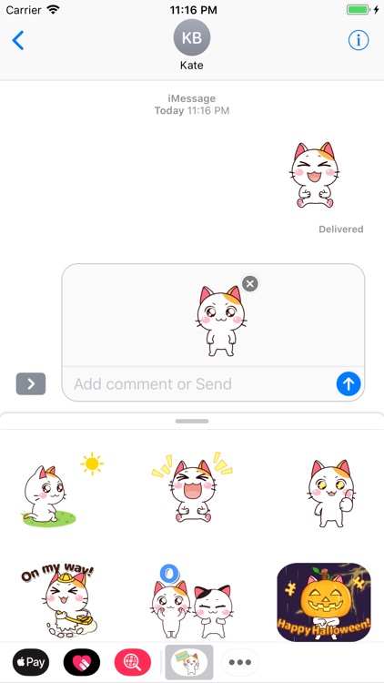 Younger Meow Moving Style