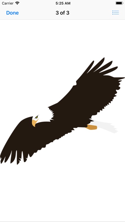 Exquisite Eagle Stickers screenshot-4