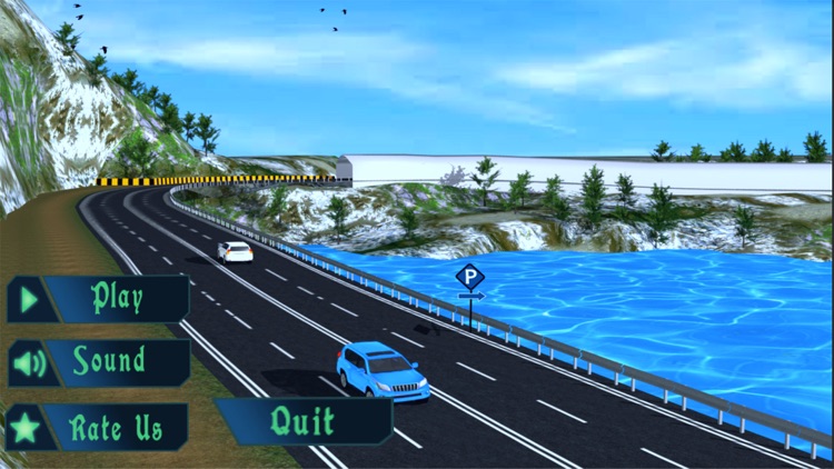 Tourist Luxury Prado Simulation-s