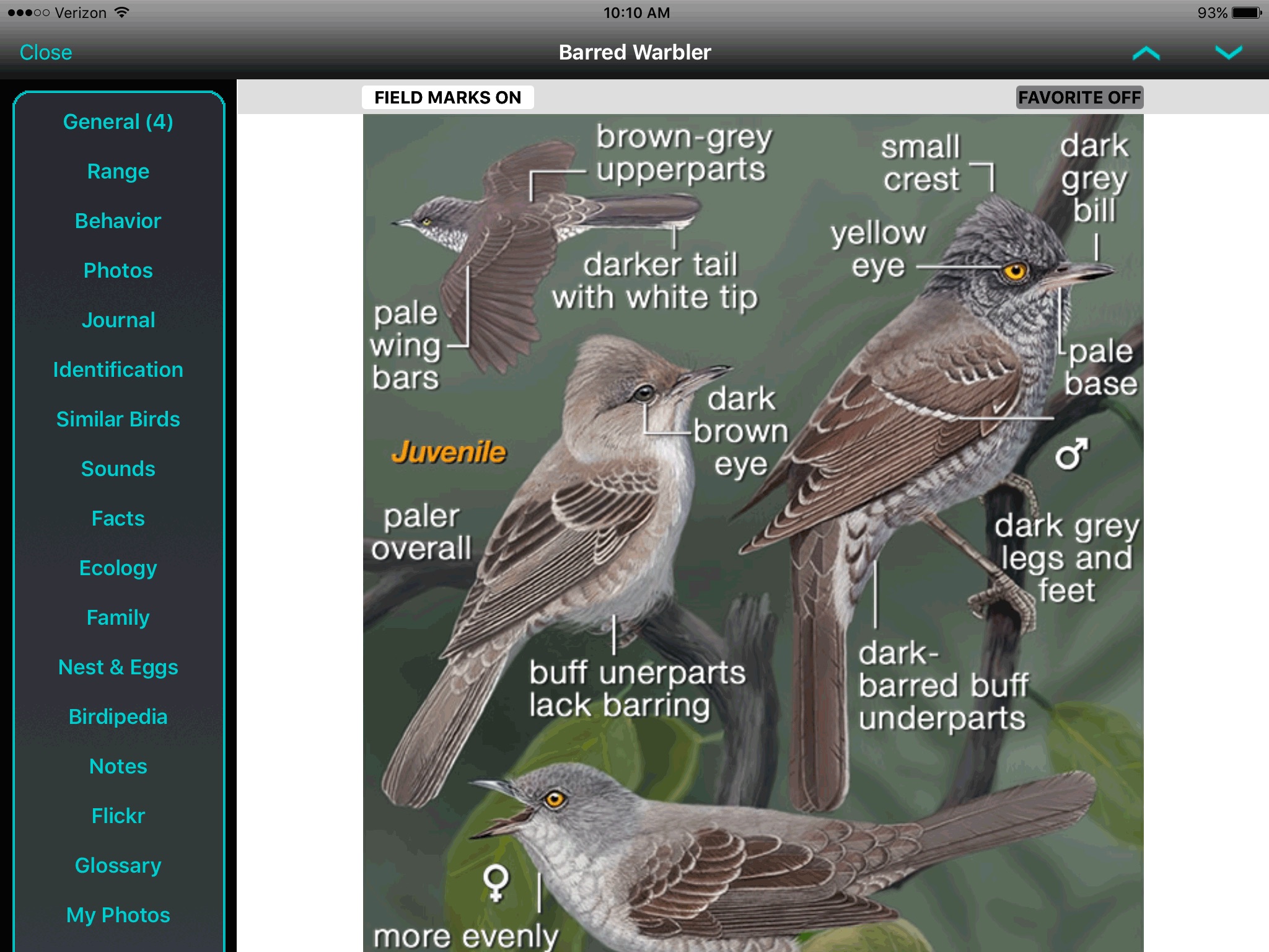 iBird UK & Ireland Lite screenshot 2