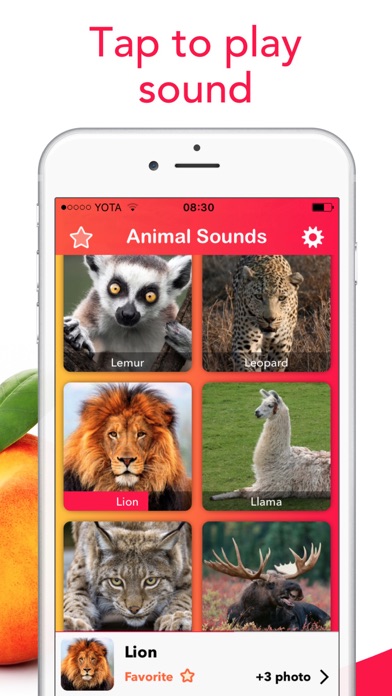 2018 Animal Sounds: Zoo, Growl screenshot 2