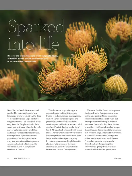 Kew Magazine