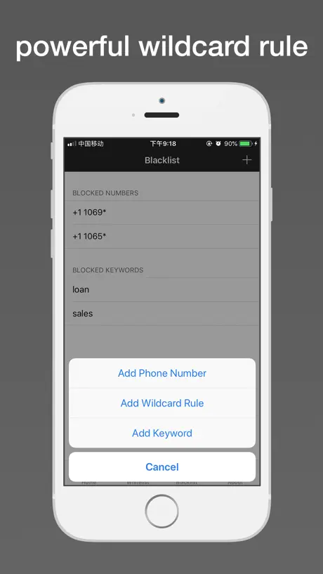 SMS Blocker for iPhone