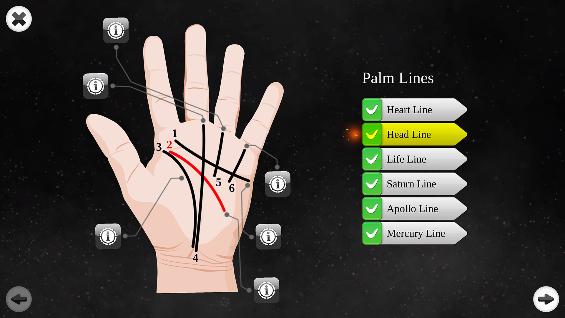 Palm Reading Premium screenshot 22