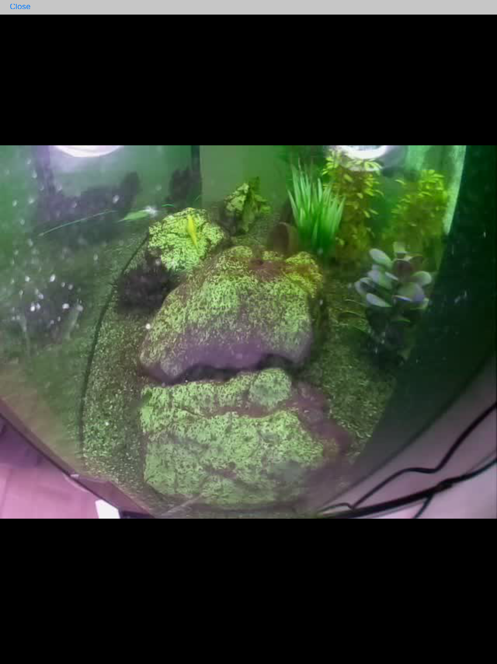 eRaspiStream screenshot 9