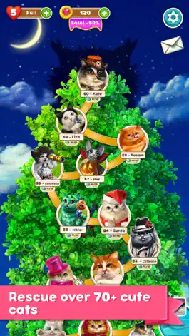 Game screenshot Cute Cats: Magic Adventure apk
