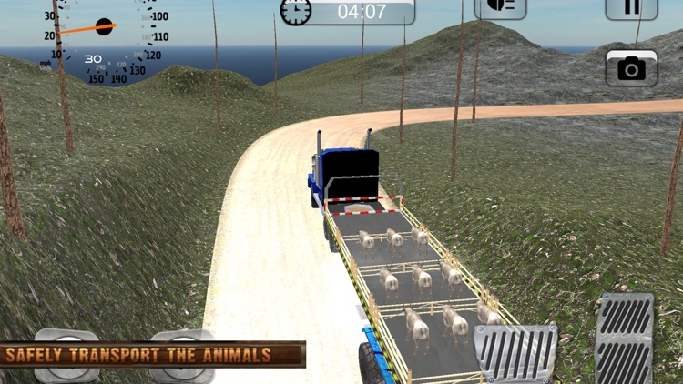 Wild Animal Transport Truck