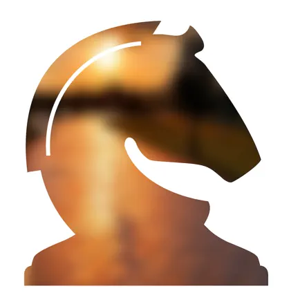 Knight's Tour Читы