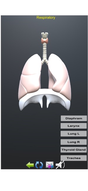 Human Anatomy Encyclopedia 3D(圖7)-速報App