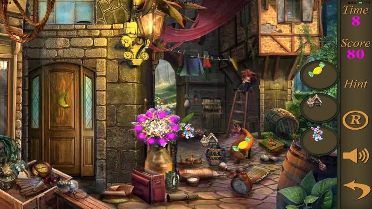 Hidden Objects Of The Enchanted Forest screenshot-3