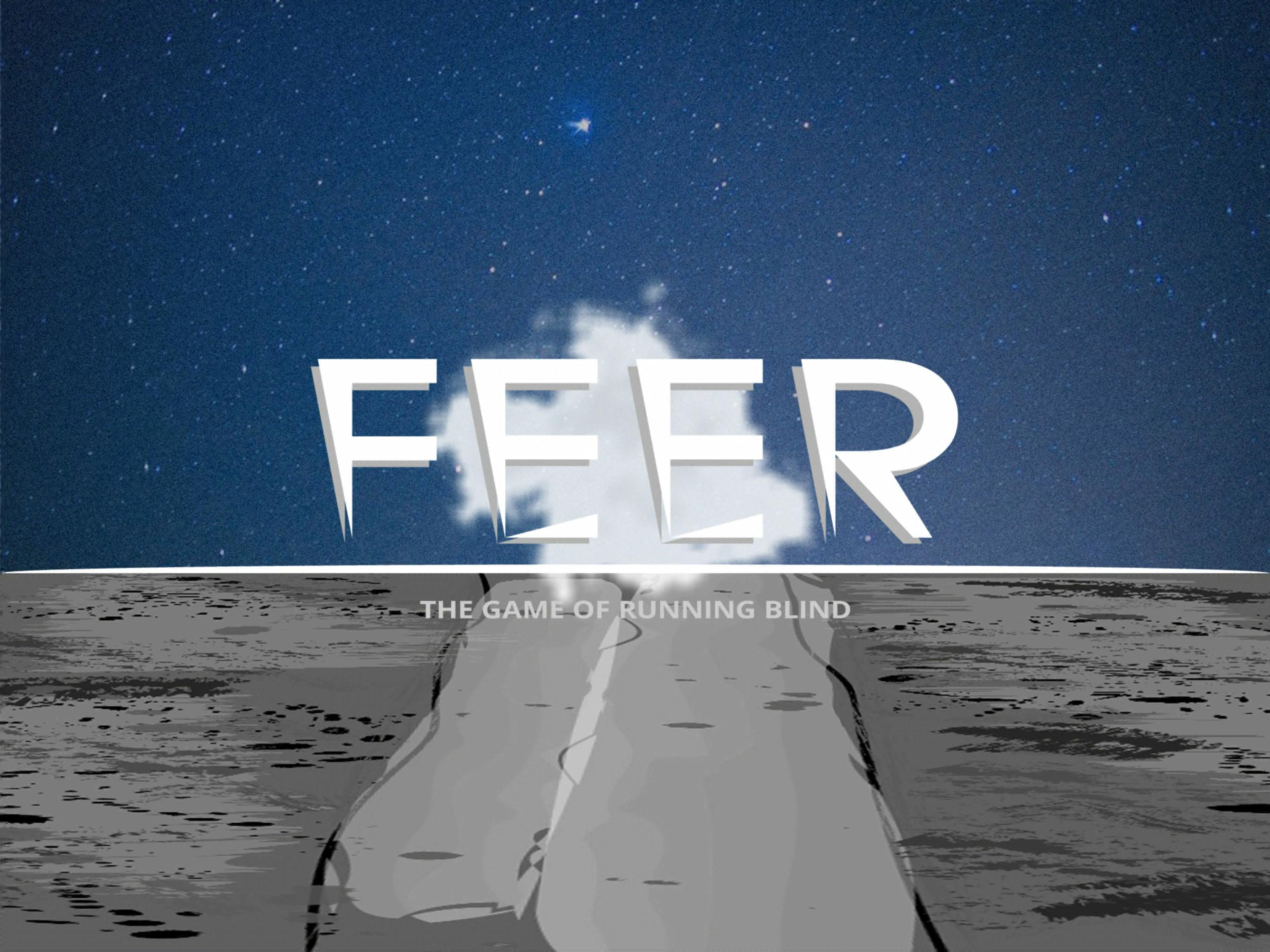 FEER screenshot 10
