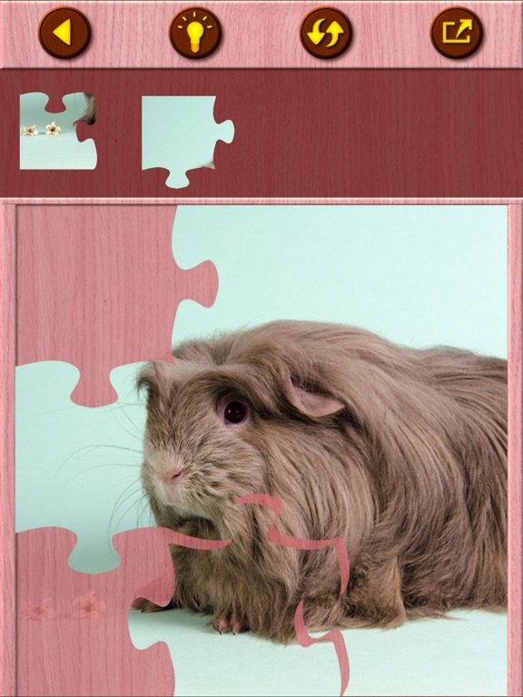 Screenshot #6 pour Guinea Pig Jigsaw Puzzle Games