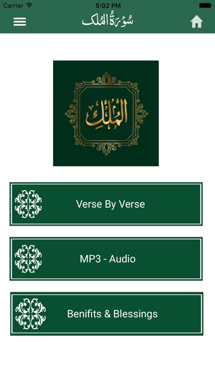 Surah Yaseen screenshot-4