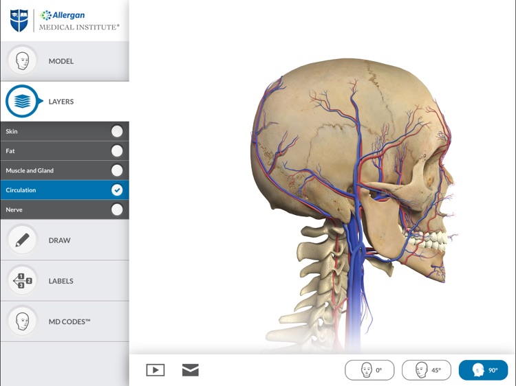 Interactive Anatomy - EG screenshot-3