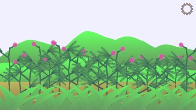 Mimosa pudica screenshot 4