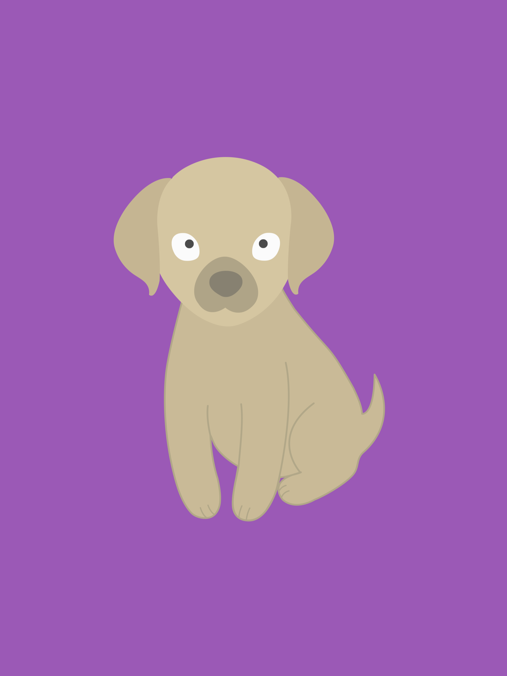 Find the Puppy screenshot 8