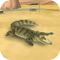 Crocodile Wild Life 3D