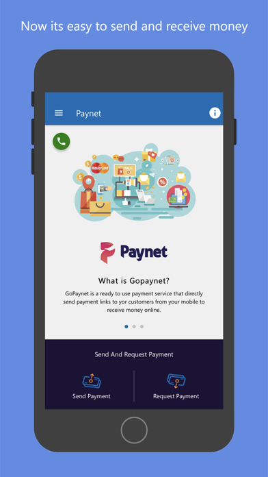 GoPaynet screenshot 2