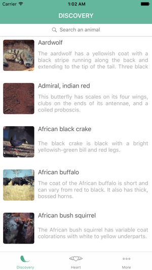 Animal Pictures and Facts