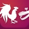 Rooster Teeth is THE place to get a little bit of everything you need
