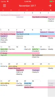 tiny month - easy calendar iphone screenshot 1