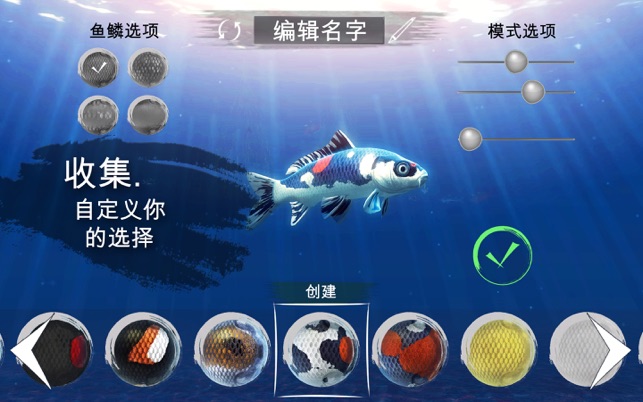 Koi Koi
