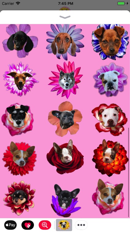 Puppy Bouquet
