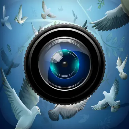 Sky Photo Editor Pro Cheats