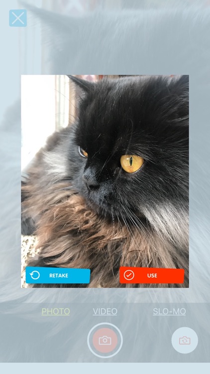 InnerVoice: Communication