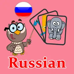 Russian Learning Flash Card app icon