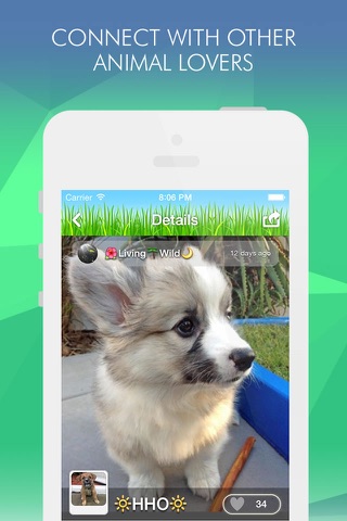 Pets Amino screenshot 3