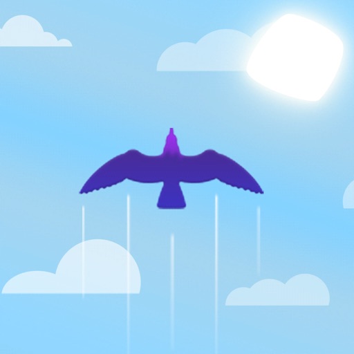 Sky Zoom icon