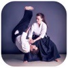 Aikido MA