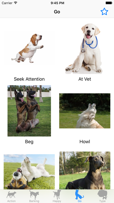 Screenshot #1 pour Son chien - Amoureux des chien