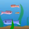 Fishy App Support