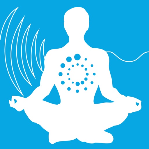 Bulletproof Stress Detective HRV