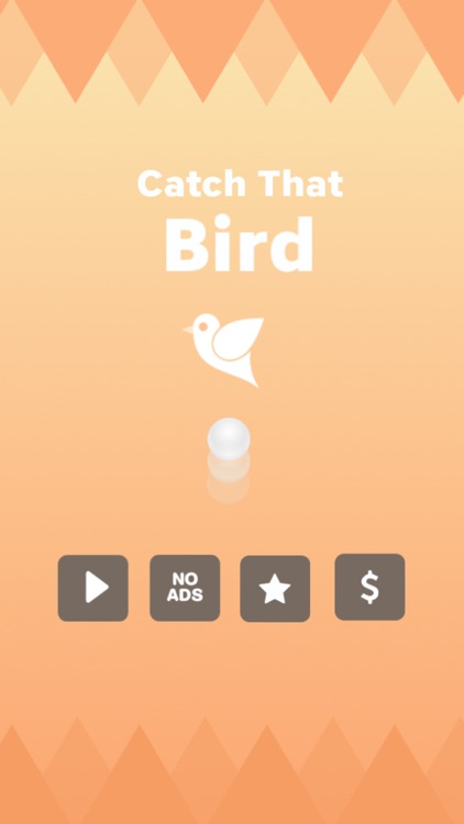 Catch This Bird