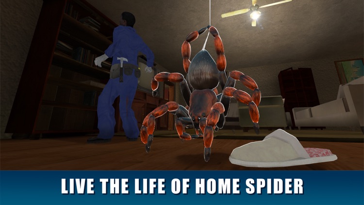 House Spider Survival Simulator 3D