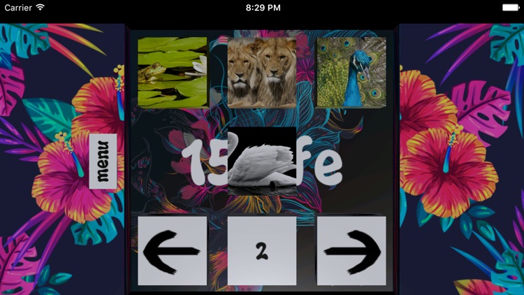 15 Life screenshot-0