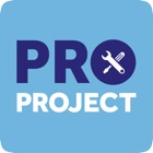 Defects & Snagging -ProProject