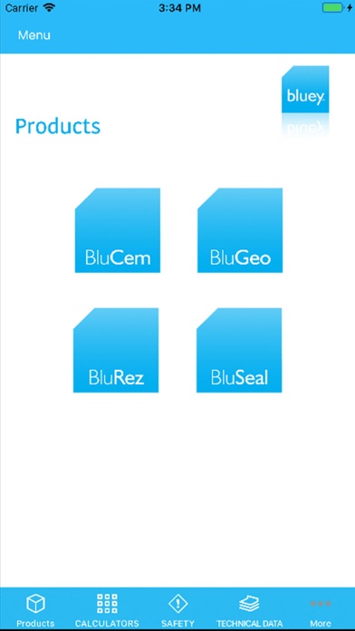 Bluey Technologies screenshot 2