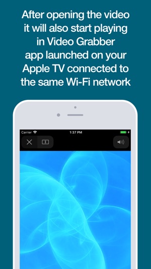 Video Grabber(圖3)-速報App
