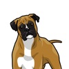 BoxerDogMoji