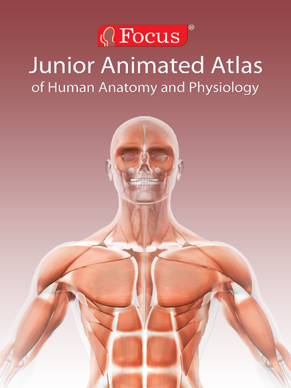 Screenshot #4 pour Junior Anatomy Atlas