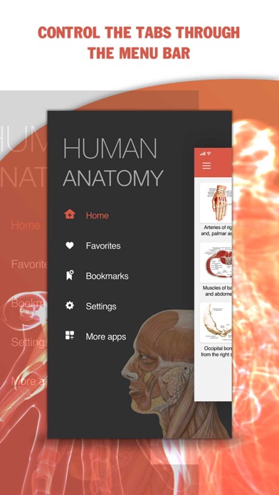 Visual Anatomy  - 3D Anatomy screenshot 4