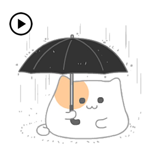 Animated So Cute Cat Sticker